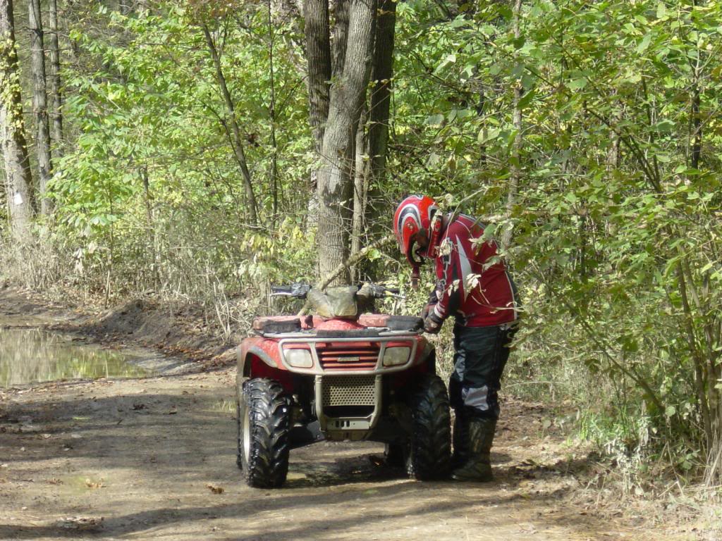 Wayne Nat'l. Forest Logan Ohio 4/16/2011 WNF10-02003_zps2444dd96