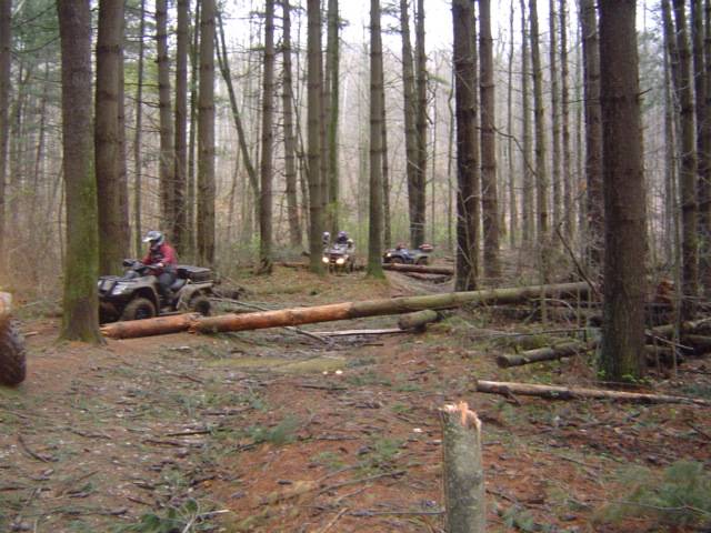 ATV Pic of the day - Page 5 WayneApril152009008_zps18a68733