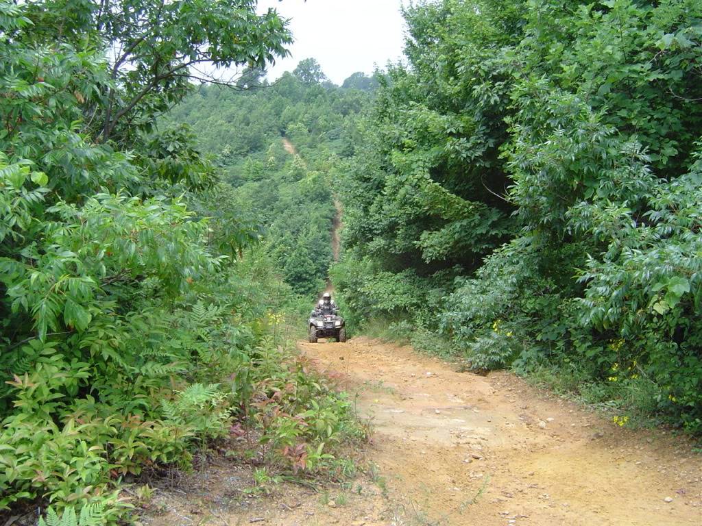 ATV Pic of the day - Page 6 HatfieldMcCoy7-05017