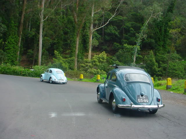 "repas de nöel 2008 du club de madeira Portugal" DSC00968