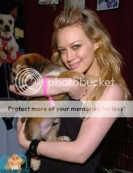 ღHil & her petღ 23405_571555733_hilary_duff768_H080