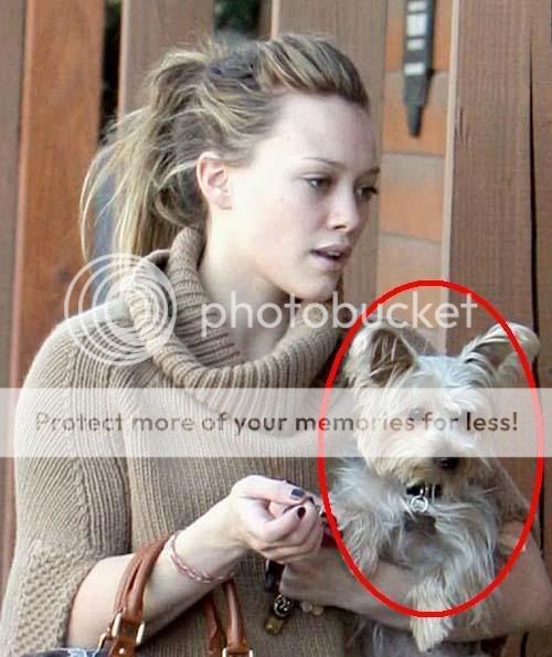 ღHil & her petღ Hilary-duff-antiques-02