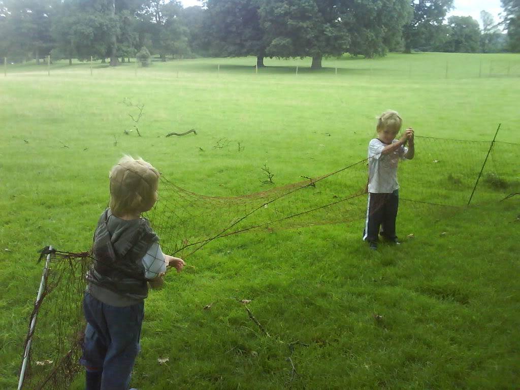 Hunting with ferrets DSC01933