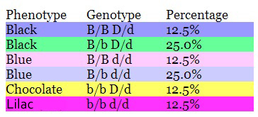 Genética, cuadro de punnet e hipótesis de transmisión del color y sus loci. Cuadro11