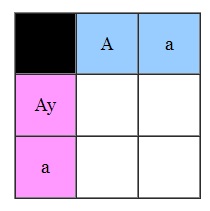 Genética, cuadro de punnet e hipótesis de transmisión del color y sus loci. Cuadro2