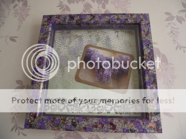 Wisteria layout and frame Wisteriaframe