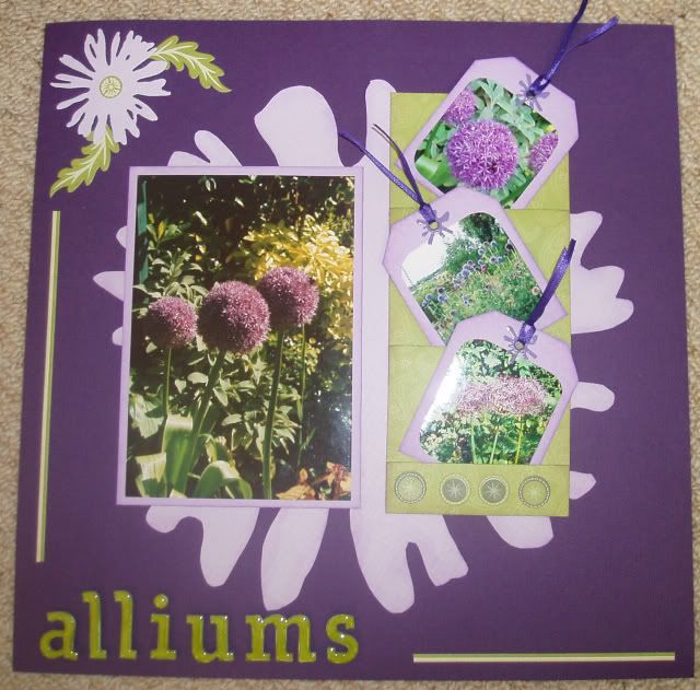 Patty's October sketch Alliums