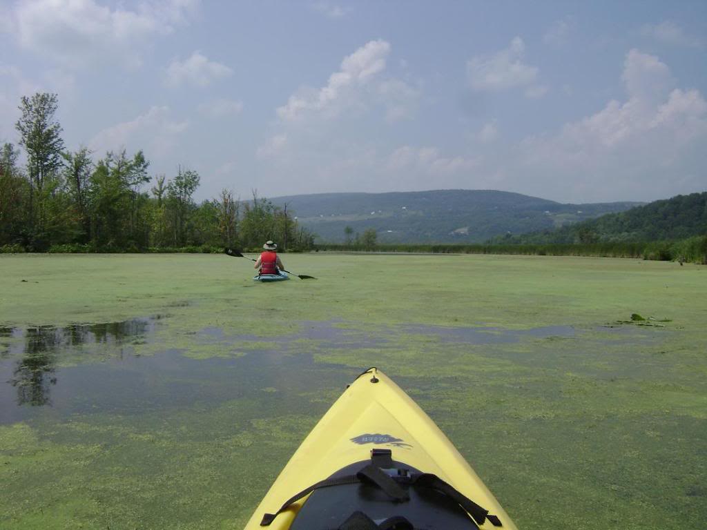 South end of Canandaigua Lake VIA West River. Westriver7