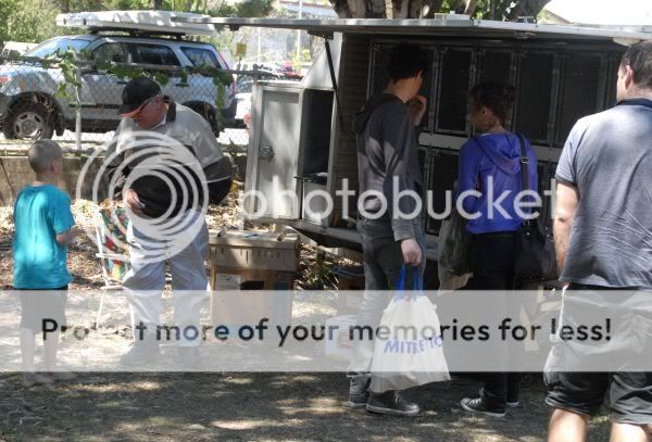 North Pine Poultry Club at BOGI Fair NEILCHRISTIEandtrailerBOGIfair