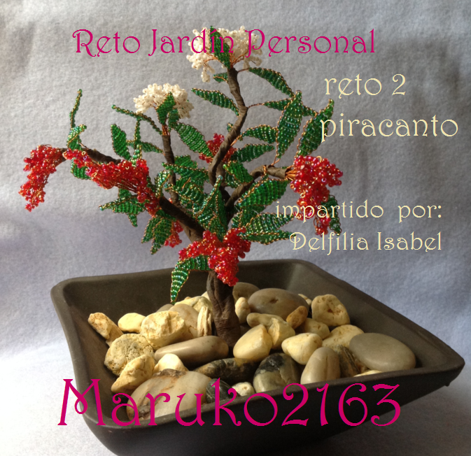 JARDIN PERSONAL   Reto2-1