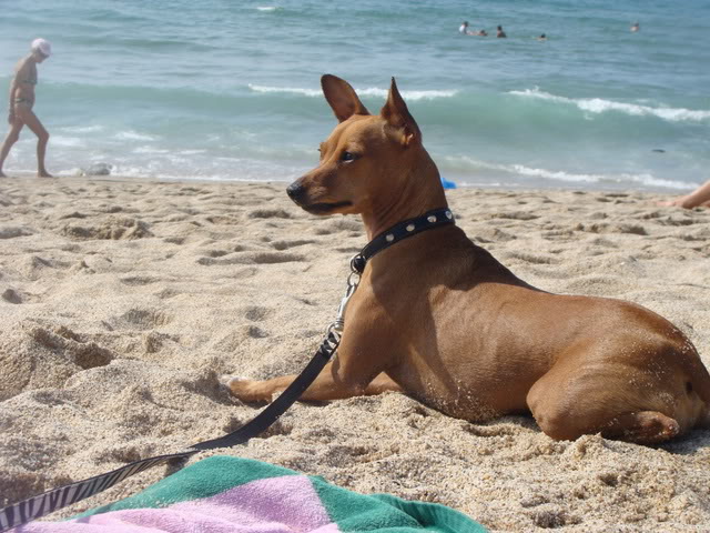 Cookie participe au casting de la française des jeux! DSC02819