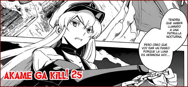 Akame ga Kill - 25 Agk25