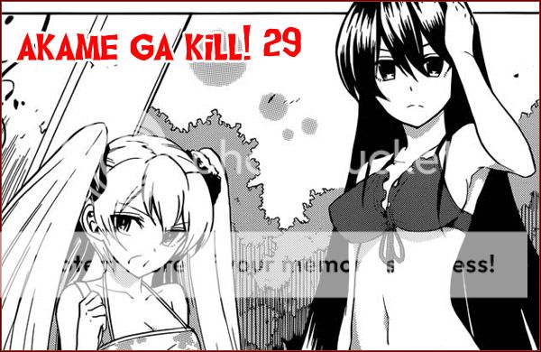 Akame ga Kill - 29 Agk29