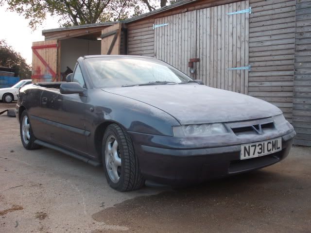 The Painters work in progress Calibra Calibrachop2004