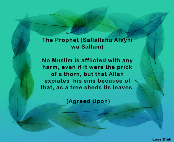 Hadith Graphics - Page 5 Thorn