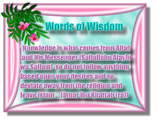 Words of Wisdom Wisdom1