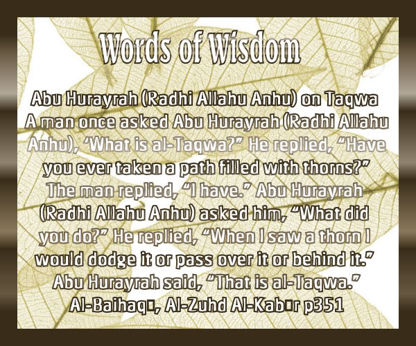 Words of Wisdom Wisdom11