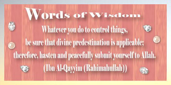 Words of Wisdom Wisdom26