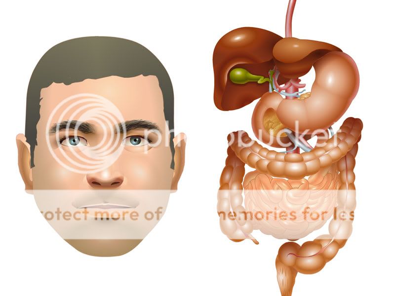 my vector art using FLASH Faceintestine