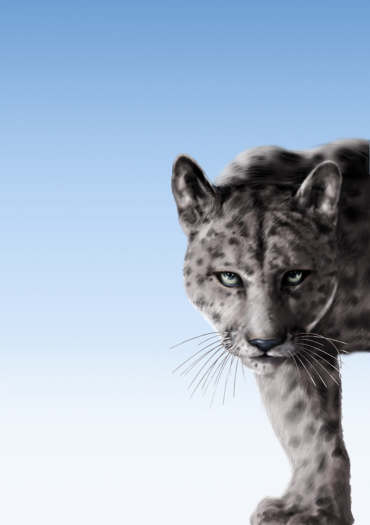 company's official image (cougar) Cougar1