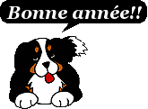 bonne anne 2010 GS_aea695f9d6c54dcafab8e10be01d95fb