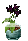 Charley's guide to Plant Tycoon Image2-7