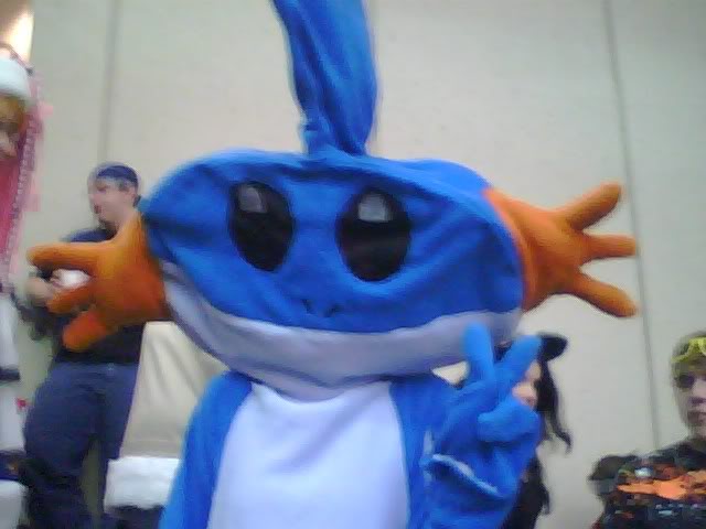 The Picture Game Mudkip