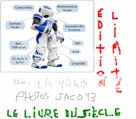 publication d'un livre: titre recherché - Page 2 Nao-robot-francais-presentation-1