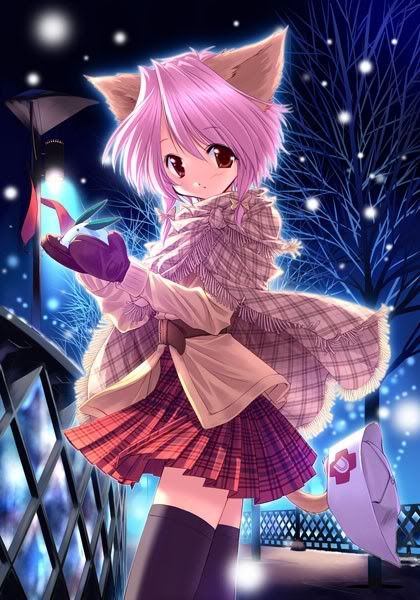 Let's Check -Anima Neko_in_Winter