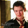 Gryffindor Seamus