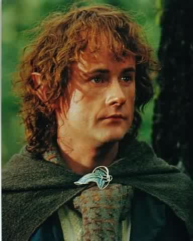 Herr der Ringe (2001-2003) Pippin1