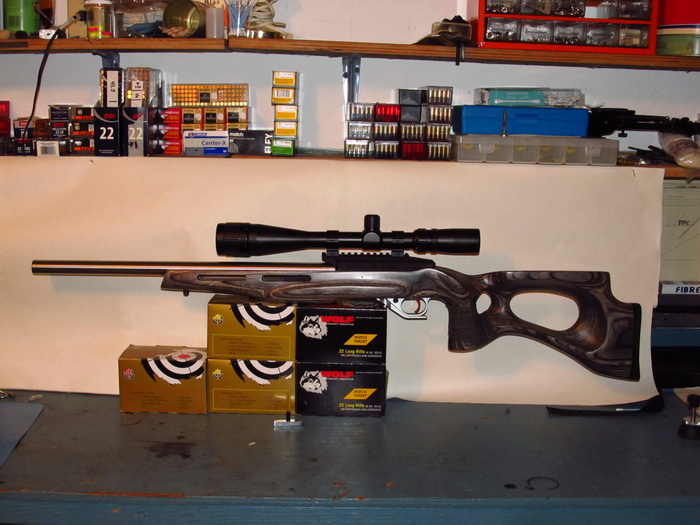 Nouvelle crosse pour ma Ruger 10/22 IMG_0996_1