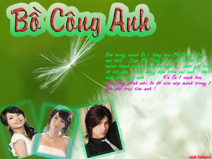 [FF] (¯`*-----> ♥♥ Bồ Công Anh ♥♥<-----*´¯) Dandelion20Seed188612copy