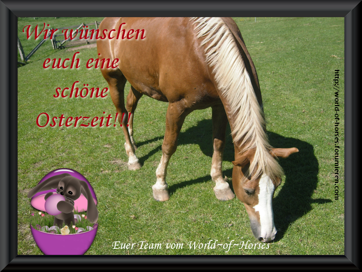 Das World~of~Horses wünscht frohe Ostern Ostern_woh