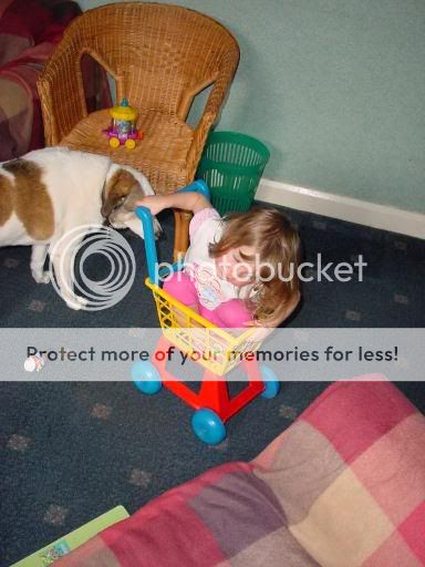 Toddlers in stacker boxes A2j_DSC00001-1