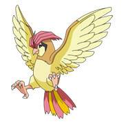 Crowmon Anime017-pidgeotto