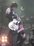 Frerard!!! Monos2-1