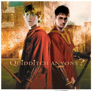 нσɢωαятƨ ƨcнσσℓ σғ ωιтcнcяαғт αи∂ ωιʓαя∂яʏ Quidditch-13