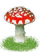 Paddestoel - Animaties Paddestoelen8