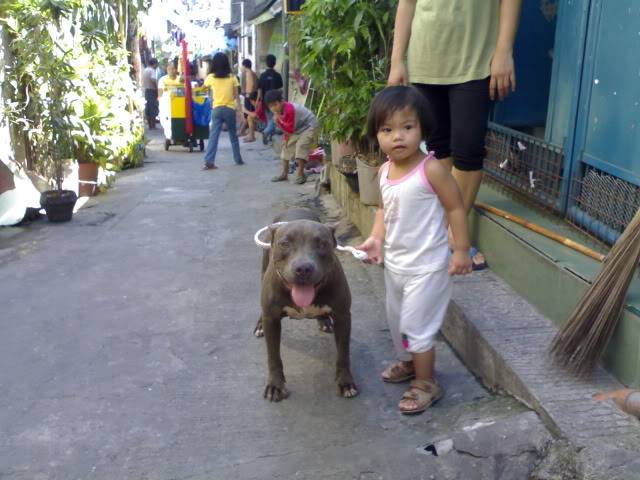 Kids with Our Beloved Pitbulls 16052009364