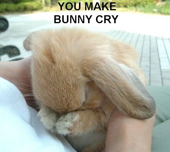 Najlepsi odlomci iz knjiga... You-make-bunny-cry