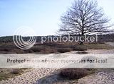 Natuur en omgeving rondom camping de Alinghoek. Th_100_3532