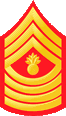 USMC Ranks MGySgt