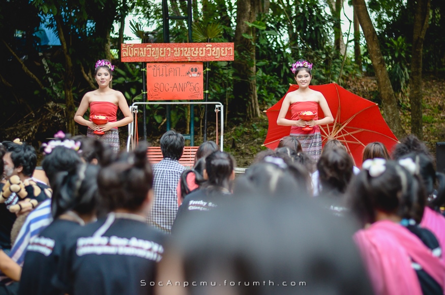 รูปงานขันโตก Soc-Anp'56 Kt56_015