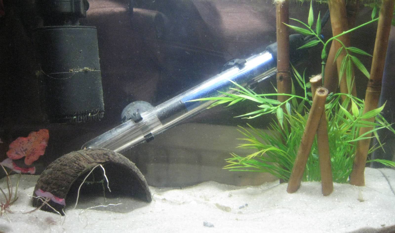 New betta tank IMG_1900