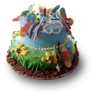 dogum gn gifleri Butterfly-cake