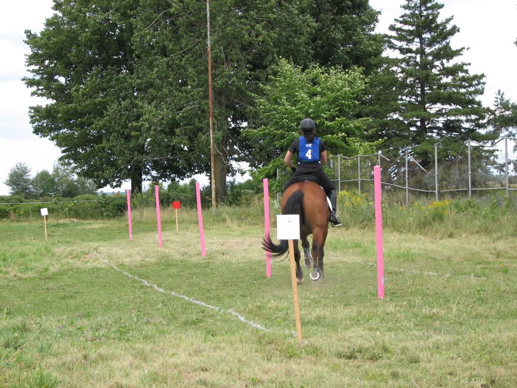 Quelques photos du TREC de Champlain 028