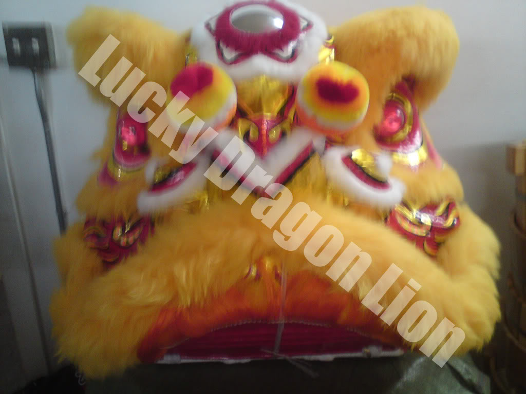 Đầu lân mới - Hàng 2011 của Lucky Dragon Lion… DSC01393