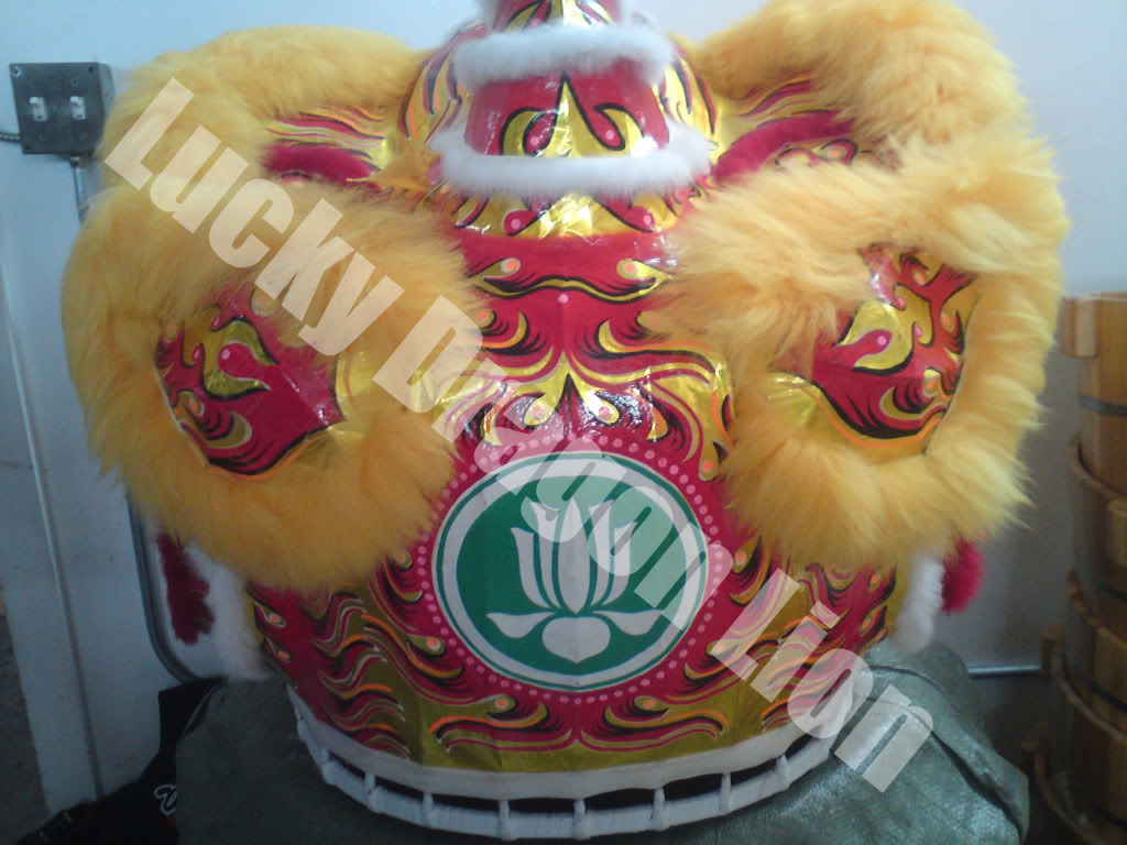 Đầu lân mới - Hàng 2011 của Lucky Dragon Lion… DSC01395