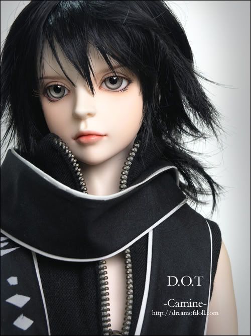 Dollfies D.O.T. ( Dream Of Teenager) 17